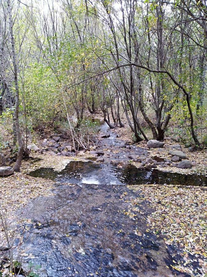 Apartamento Navacerrada Dış mekan fotoğraf